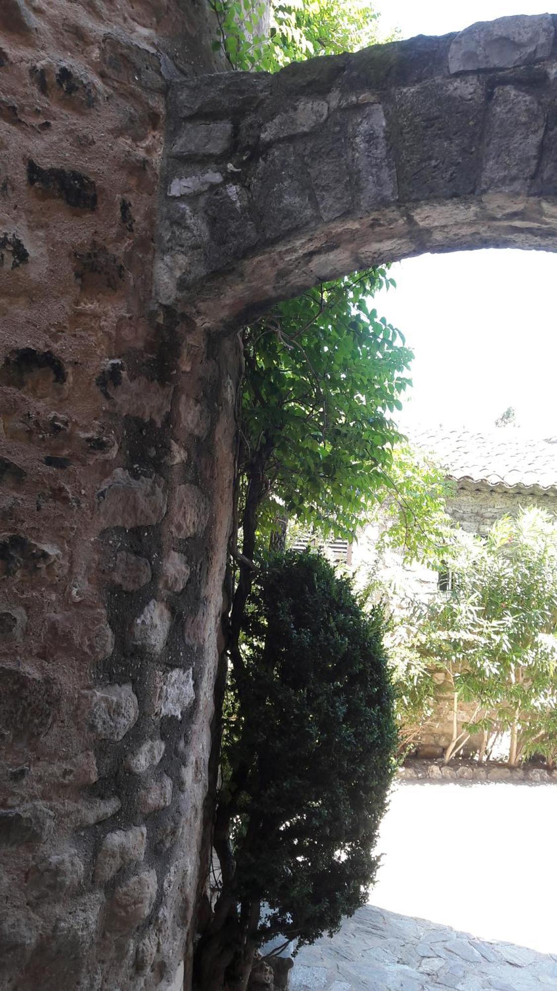 Villa Arca Les Arcs-sur-Argens Værelse billede